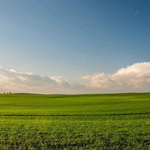 field - land finance